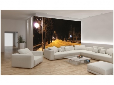 FOR WALL fototapetai 0297VE XL 2