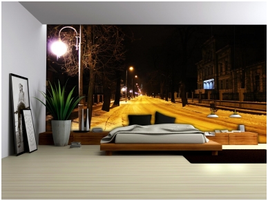 FOR WALL fototapetai 0297VE XXXL 1