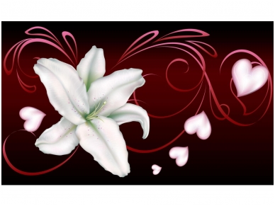 FOR WALL fototapetai 0298VE XXL