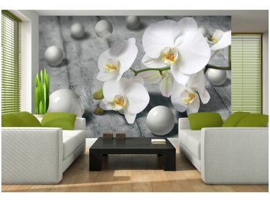 FOR WALL fototapetai 3013VE XXXL 1