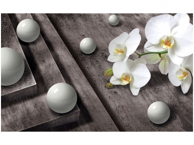 FOR WALL fototapetai 3015VE XXL