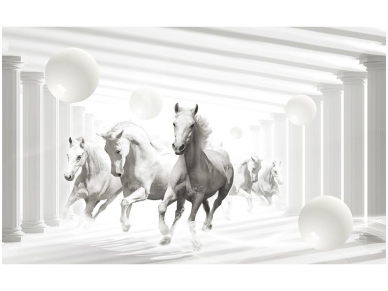 FOR WALL fototapetai 3087VE XXXL FOR WALL fototapetai 3087VE XXXL