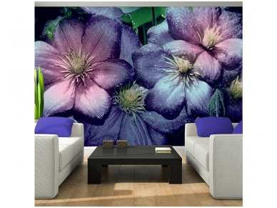 FOR WALL fototapetai 3125VE XXXL 1