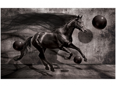 FOR WALL fototapetai 3137VE XXL