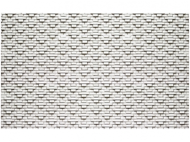 FOR WALL fototapetai 3139VE XXXL