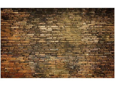 FOR WALL fototapetai 3140VE XXL