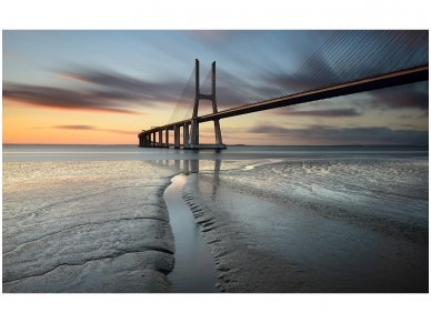 FOR WALL fototapetai 3143VE XXXL FOR WALL fototapetai 3143VE XXXL
