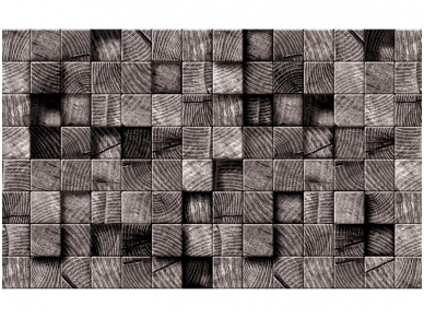 FOR WALL fototapetai 3164VE XXL