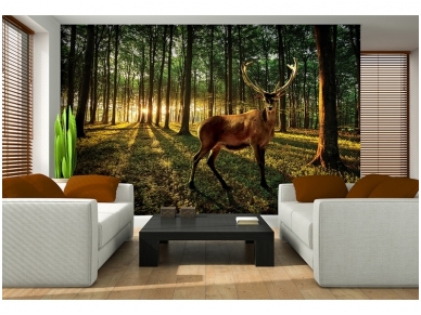 FOR WALL fototapetai 3194VE XXXL 1