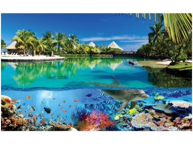FOR WALL fototapetai 3229VE XXL