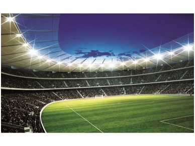 FOR WALL fototapetai 0323VE XL