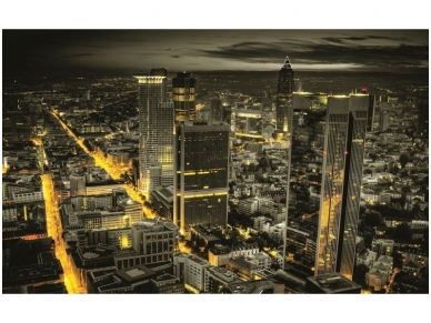 FOR WALL fototapetai 0330VE XXXL