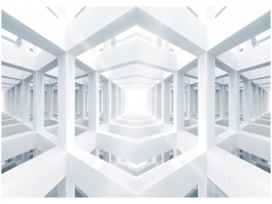 FOR WALL fototapetai 3325VE XXL FOR WALL fototapetai 3325VE XXL