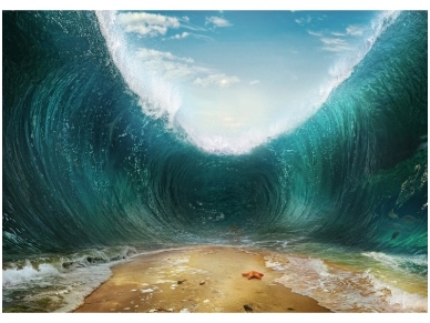 FOR WALL fototapetai 3330VE XXXL