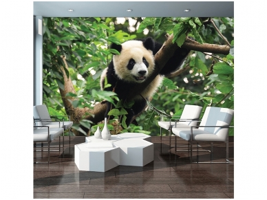 FOR WALL fototapetai 3398VE XXXL 1