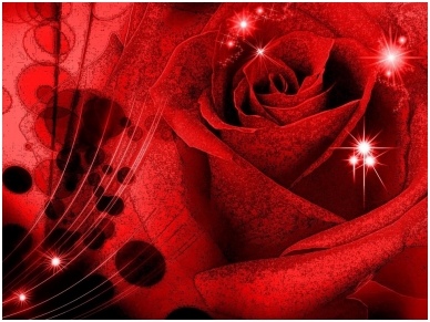 FOR WALL fototapetai 0339VE XXL