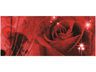 FOR WALL fototapetai 0339VEP