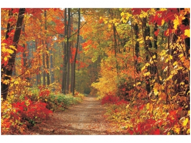 FOR WALL fototapetai 04-002VE P8 FOR WALL fototapetai 04-002VE P8