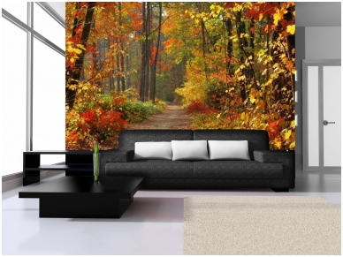 FOR WALL fototapetai 04-002VE P8 1