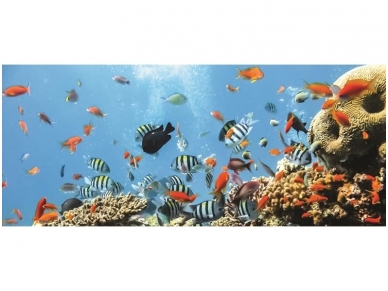 FOR WALL fototapetai 04-005VEP