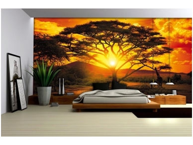 FOR WALL fototapetai 0400VE M 1