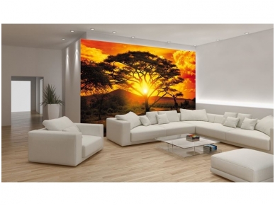 FOR WALL fototapetai 0400VE M 2