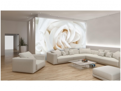 FOR WALL fototapetai 0410VE XXL 1