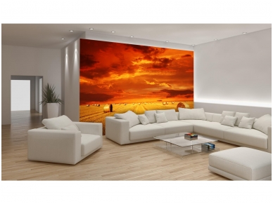 FOR WALL fototapetai 0414VE M 1