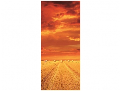 FOR WALL fototapetai 0414VET