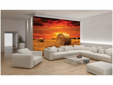 FOR WALL fototapetai 0415VE M 1