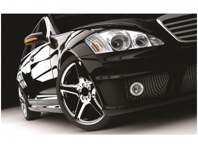 FOR WALL fototapetai 0416VE XXL