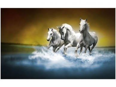 FOR WALL fototapetai 0425VE XXXL