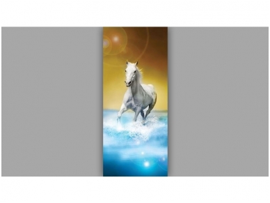 FOR WALL fototapetai 0425VET