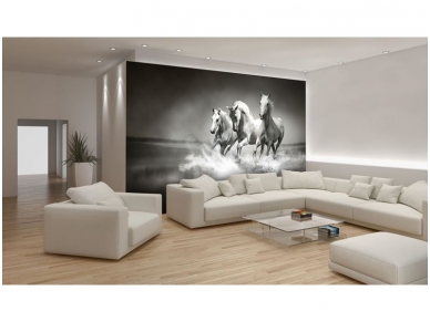 FOR WALL fototapetai 0426VE XXL 1