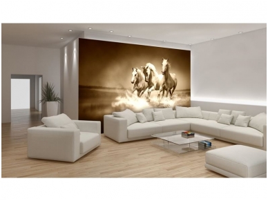 FOR WALL fototapetai 0427VE XXXL 1