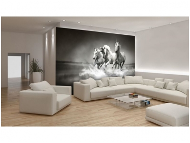 FOR WALL fototapetai 0428VE P4