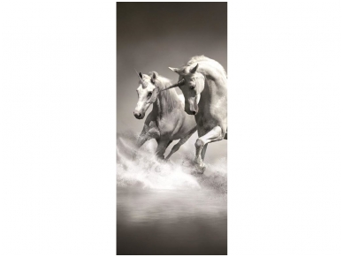 FOR WALL fototapetai 0428VET