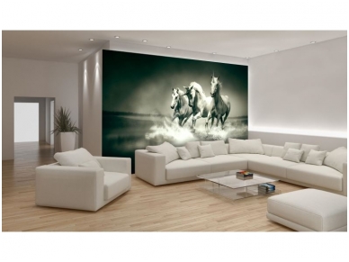 FOR WALL fototapetai 0430VE L 1