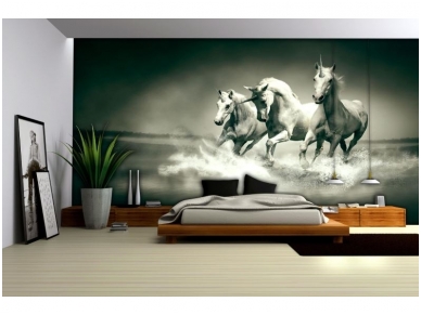 FOR WALL fototapetai 0430VE XXXL 2