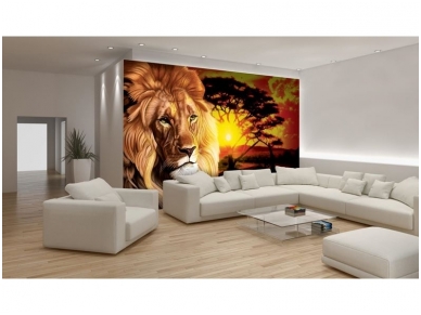 FOR WALL fototapetai 0433VE XXXL 1