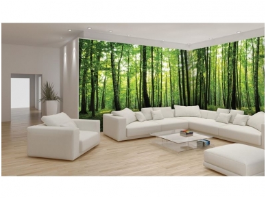 FOR WALL fototapetai 0444VEE 1