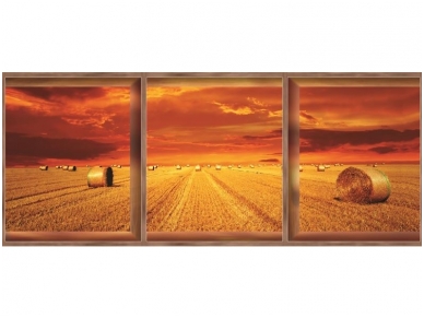 FOR WALL fototapetai 0445VEE