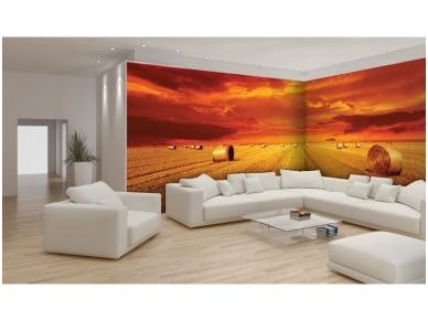 FOR WALL fototapetai 0446VEE 2