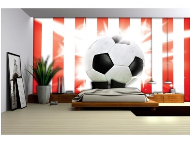 FOR WALL fototapetai 0473VE XXL 2
