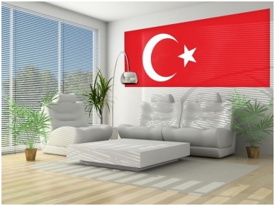 FOR WALL fototapetai 0482VEP 1