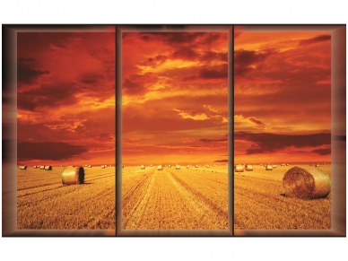 FOR WALL fototapetai 0498VE XL
