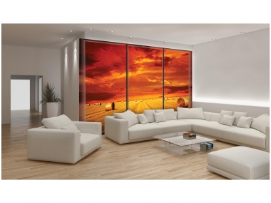 FOR WALL fototapetai 0498VE XL 1
