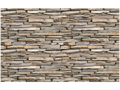 FOR WALL fototapetai 0521VE XXL