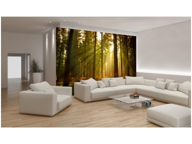 FOR WALL fototapetai 0576VE P4 1