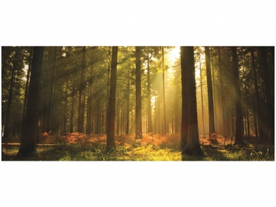 FOR WALL fototapetai 0576VEP